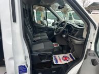 FORD TRANSIT 350 SINGLE CAB ARBORIST TIPPER 2.0 TDCI ECOBLUE *EURO 6!!! - 2177 - 19